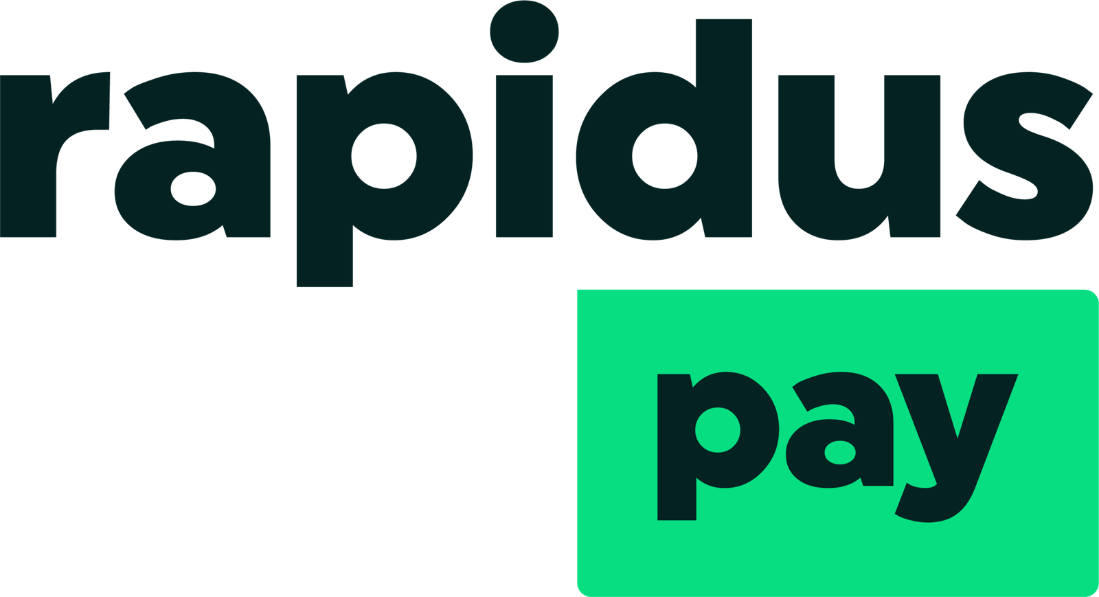 rapiduspay.com